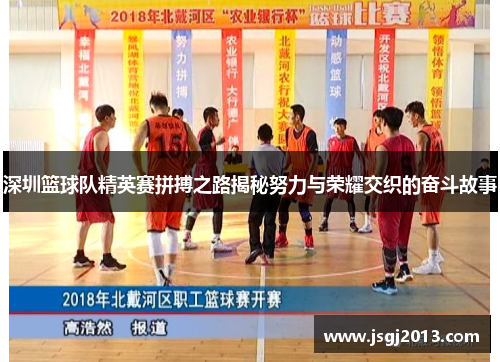 深圳篮球队精英赛拼搏之路揭秘努力与荣耀交织的奋斗故事