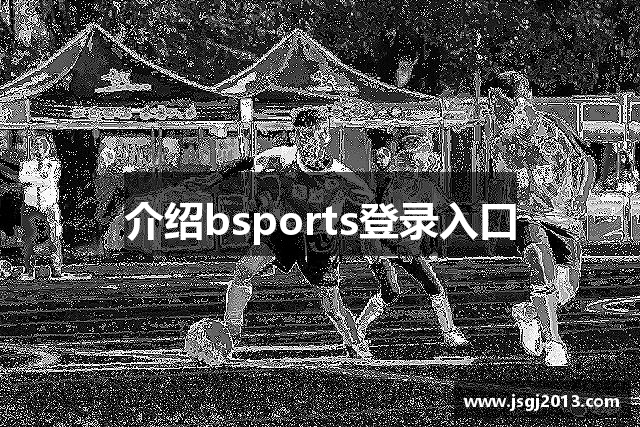 介绍bsports登录入口